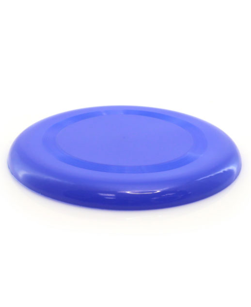 Frisbee Fly
