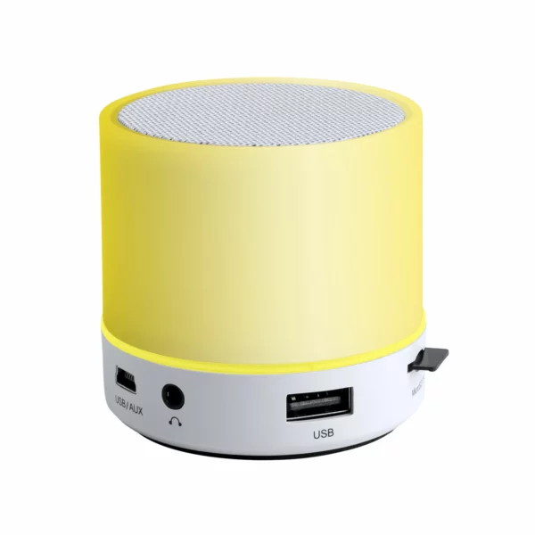 Altoparlante Personalizzato Multicolor Led 3