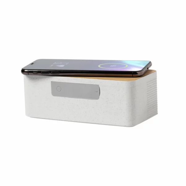 Cassa Bluetooth Con Caricabatteria Eco Esempio 1